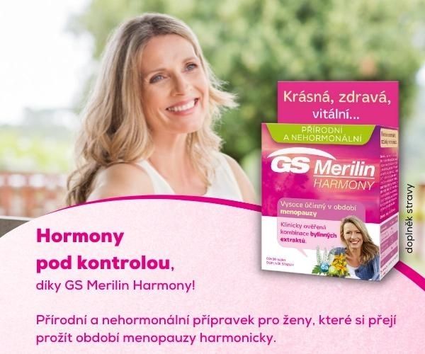 merilin banner mobil