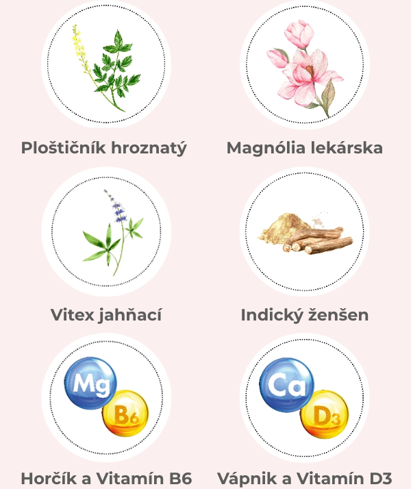 Složení-upraveno_SK